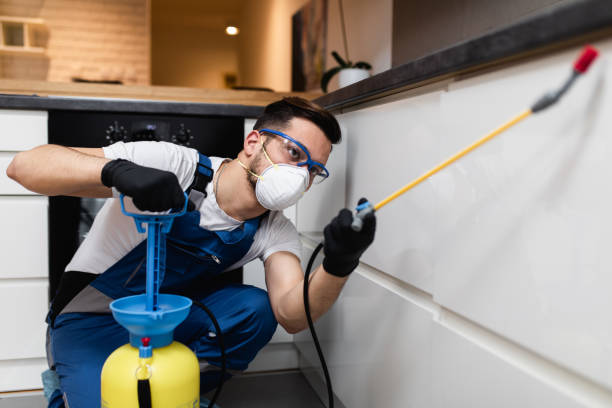 Best Pest Control Near Me  in Baldwin City, KS