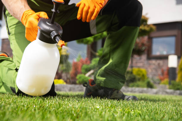 Best Pest Inspection Near Me  in Baldwin City, KS