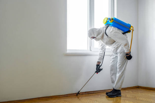 Best Pest Removal Services  in Baldwin City, KS