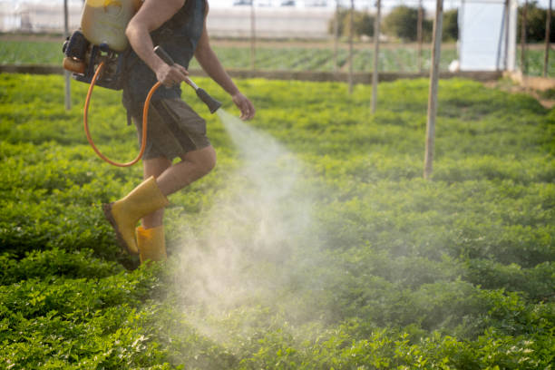 Best Best Pest Control Companies  in Baldwin City, KS