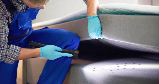 Best Cockroach Control Services  in Baldwin City, KS