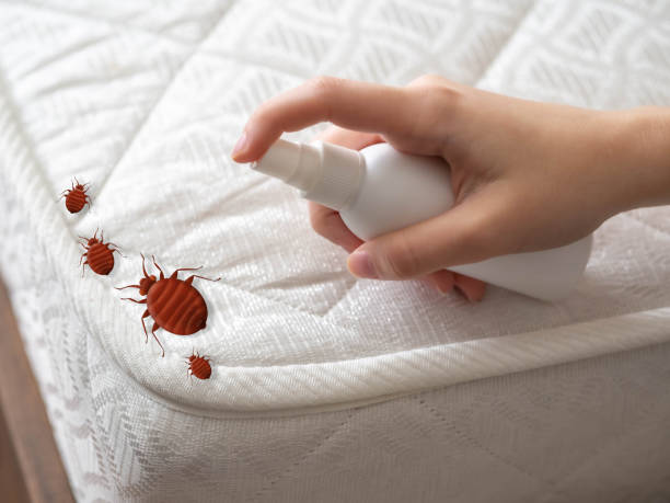 Baldwin City, KS Pest Control Company