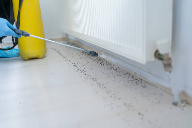 Best Pest Prevention Services  in Baldwin City, KS
