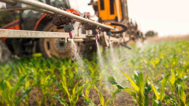 Best Mosquito Control Services  in Baldwin City, KS