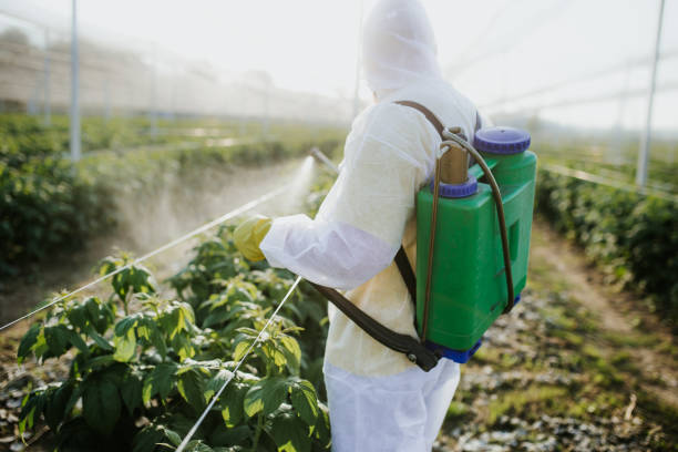 Best Best Pest Control Companies  in Baldwin City, KS